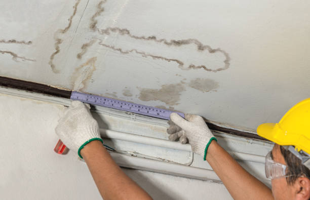 Reliable Water Damage Repair contractor in Barrington, IL by Hirex Water Damage